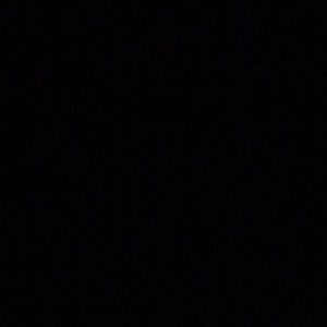 Meet your Posher, Lauryn